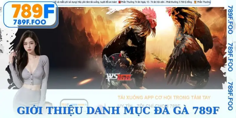 Tổng quan về sảnh đá gà
