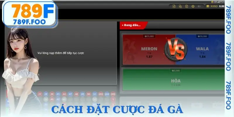 Hướng dẫn vào trang web và đặt cược ngay hôm nay
